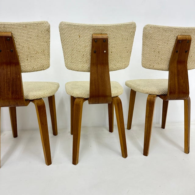 Wood Dutch Plywood Dining Chairs by Cor Alons, 1960s, Set of 4 For Sale - Image 7 of 18