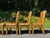 1970s Set of 6 Parsons Dining Chairs by Milo Baughman for Thayer Coggin For Sale - Image 5 of 12