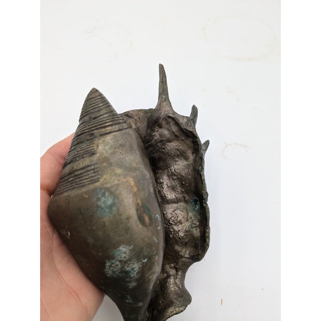 Mid 20th Century Mid 20th Century Oversized Silver Tone With Patina Conch Shell For Sale - Image 5 of 7