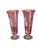 Cranberry Etched Art Glass Vases With Palm Tree Decoration - A Pair For Sale - Image 4 of 7