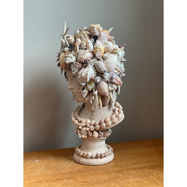 Vintage Shell Encrusted Bust Sculpture For Sale - Image 10 of 12