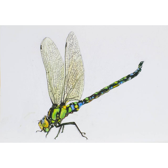 Contemporary Juris Utans, Bright Dragonfly, 2021, Mixed Media on Paper For Sale - Image 3 of 3