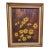 1966 Framed Wildflower Painting by Marguerite Stuber Pearson — “Spray of Yellow Coreopsis” | America the Beautiful For Sale