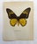 Up for sale is this gorgeous lithograph by F. Prochazka, published in Great Britain in 1965. It is in excellent, gently-...