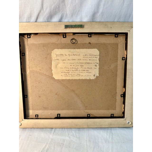1900 - 1909 Antique, Original Sketch, English Setter, French 1903 For Sale - Image 5 of 5