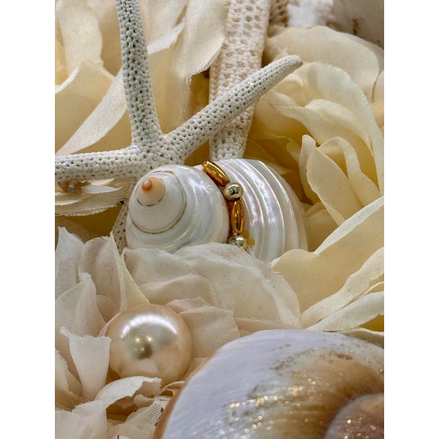 Large Neoclassical Coastal Shell Composition Urn – Nautical Fine Art Decor For Sale - Image 9 of 11