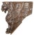 Relief Carved Wood Ornament in the Form of a Winged Lion For Sale - Image 9 of 12