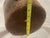 Antique Leather Top Hat Box Case - Late 19th Century For Sale - Image 14 of 18