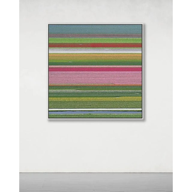 Edition Aerial Views Bernhard Lang Image: AV_Tulip_Fileds_014 Size 3: 35,4 x 35,4 inches, 90 x 90 cm Captured in 2016 in...