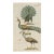 Antique Natural History Hand-Colored Engraving – Peacocks-1750's For Sale