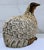 Charming vintage hand-carved teak wood partridge figurine from Thailand, featuring deeply incised feather details and warm...