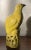 19th Century Antique 19th Century Chinese Export Porcelain Bird Figure of a Quail or Dove in Bright Yellow Glaze Standing on Rock Work For Sale - Image 5 of 12