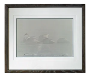 1980s "Winter Mist and Trumpeter Swans" Nature Color Photograph by Thomas Mangelsen, Framed