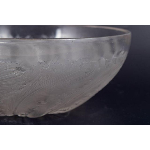 Vintage Chicoree Bowl in Frosted and Polished Glass by René Lalique, 1930s For Sale - Image 3 of 5