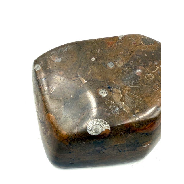 Luxury Fossil Brown Marble Ashtray Bowl, France 1970s For Sale - Image 10 of 10