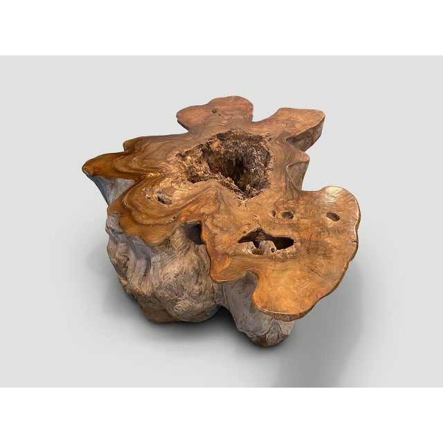 Andrianna Shamaris Impressive Organic Teak Wood Coffee Table For Sale - Image 12 of 18
