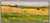 Message us to inquire about custom framing options! (Included for free with every purchase) The artwork here, "Prairie...