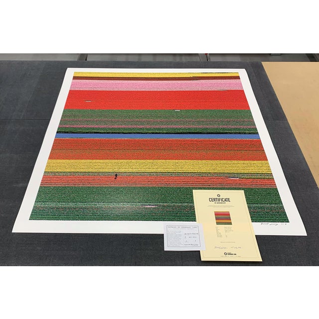 AV_Tulip_Fields_036" Contemporary Aerial View Limited Edition Photograph by Bernhard Lang For Sale - Image 10 of 12