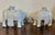 Antique 18th Century Chinese Blanc De Chine Porcelain Elephant Candlestick or Joss Stick Holders - A Pair For Sale - Image 10 of 16