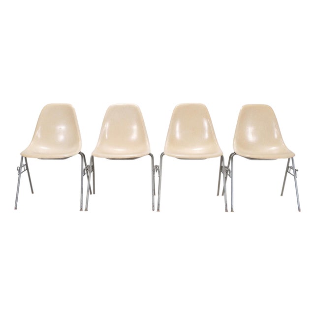 Set of Four Herman Miller DSS Mid-Century Fiberglass Side Chairs For Sale