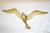 Mid-Century Modern 970s Mid-Century Modern Brass Flying Seagulls Wall Sculptures - Set of 3 For Sale - Image 3 of 12