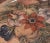 Introducing a stunning Hand-Painted Floral Clay Wall Plate from Mexico! This exquisite piece showcases a vibrant majolica...
