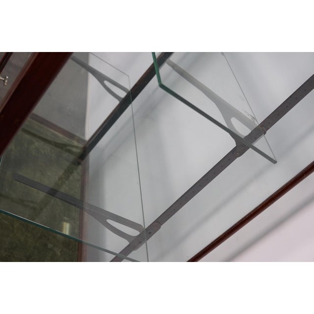 Gold Victorian Mahogany Museum Shop Display Cabinet or Vitrine, Late 19th Century For Sale - Image 8 of 18