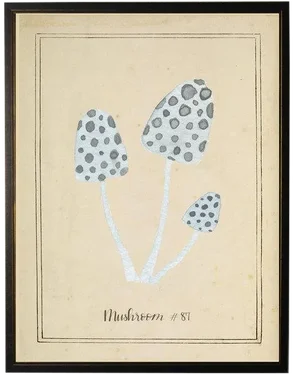 Spotted Mushrooms in Black & Copper Shadowbox 13 X 17