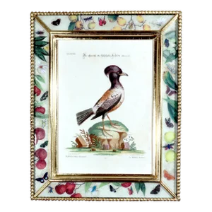 Johann Seligmann Bird Print of Le Merle Rofette, Tab Xxxix, After George Edwards