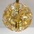 Mid-Century Murano Flowers and Brass Chandelier from Sische, Germany, 1960s For Sale - Image 9 of 13