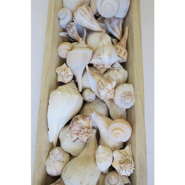 Wood Seashells For Sale - Image 7 of 12