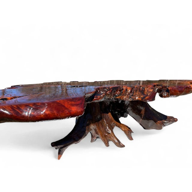 Redwood Live Edge Coffee Table Figured & Burlwood Slab, Western Red Sedar Root Stump For Sale - Image 12 of 17