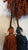 Antique Baluch Tribal Salt Bag With Cowrie Shell Tassels in Brown & Indigo For Sale - Image 4 of 18