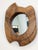 Mid-Century Modern Biomorphic Wall Mirror in Walnut, France, 1960s For Sale - Image 3 of 9