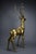 Hollywood Regency Brass Deer attributed to Maison Jansen, 1970s For Sale - Image 3 of 18