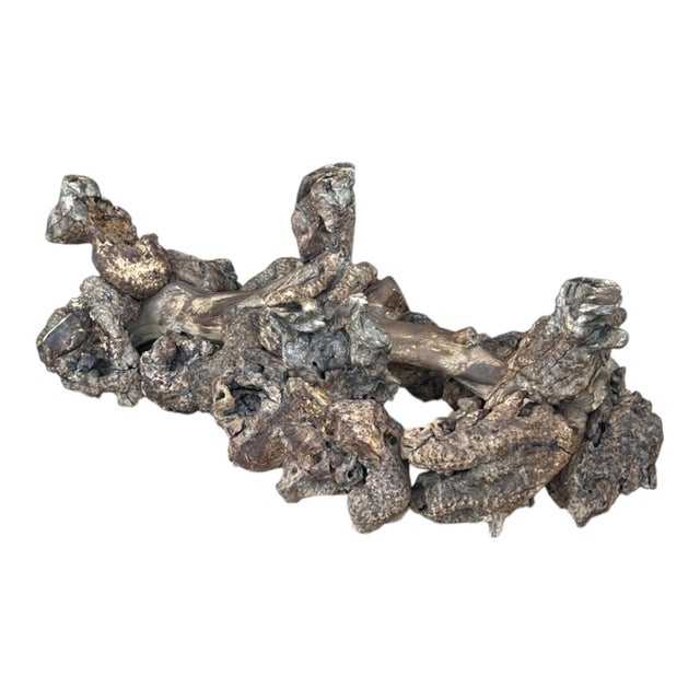 Wood 1960s Sculptural Burl Wood Root Coffee Table With Curved Glass Top For Sale - Image 7 of 10