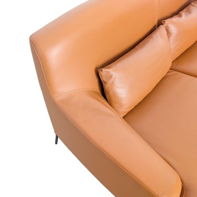 Animal Skin Montevideo Two-Seater Sofa by Claesson Koivisto Rune for Tacchini For Sale - Image 7 of 10