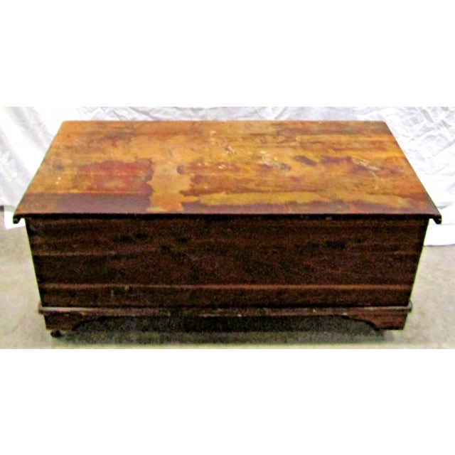19th Century Early American Style Cedar Constructed Trunk Blanket Chest Castors For Sale - Image 11 of 16