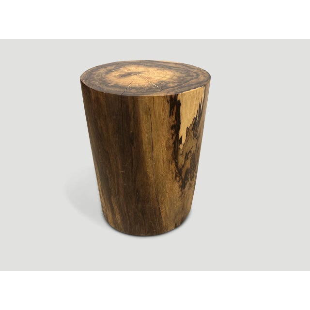 Andrianna Shamaris Exquisite Rosewood Side Table or Stool For Sale - Image 4 of 5