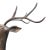 Vintage Heavy Large Brass Deer Stag Sculpture Figurine Mid Century Modern 24” H For Sale - Image 12 of 18