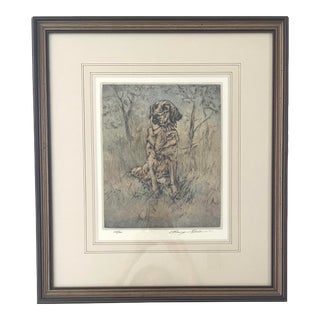 Vintage Henry Wilkinson Golden Retriever Etching For Sale