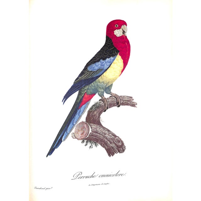 "Exotic Birds: Parrots. Birds of Paradise. Tucans" Book 1963 Levaillant, Francois For Sale In New York - Image 6 of 8