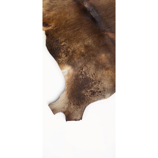 Vintage Rug in Cowhide, 1970s For Sale - Image 4 of 9