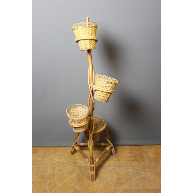 Rattan Plant Holder, 1970s For Sale - Image 3 of 9