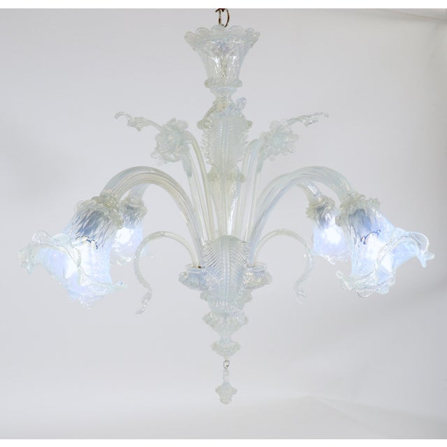 This small and dazzling handcrafted opaline Murano chandelier has four flexing arms with prominent tri-lobed cups. The...
