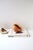 Shell Seashells Natural, Set of 4 For Sale - Image 7 of 10