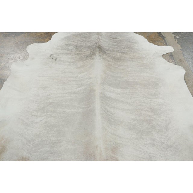 Originating from Brazil, this 7x8 premium cowhide rug joins Rug & Kilim’s archive and showcases a rare, dramatic exotic...