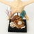 Nautical Shell Display With Starfish For Sale In New York - Image 6 of 8