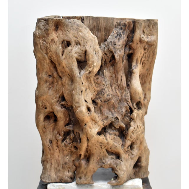 Antique Japanese Burl Vessel For Sale - Image 4 of 7