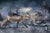 Shelter - Spirit of the Fox by Marcin Owczarek | Photography - Dye Sublimation on Aluminum featuring a fox with a house and landscape. For Sale